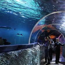 Sylt-Aquarium